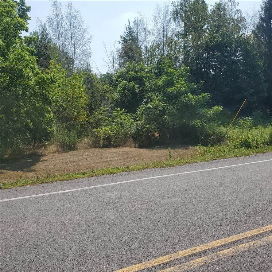 6462 Furnace (3 Lots) Road - Photo 1