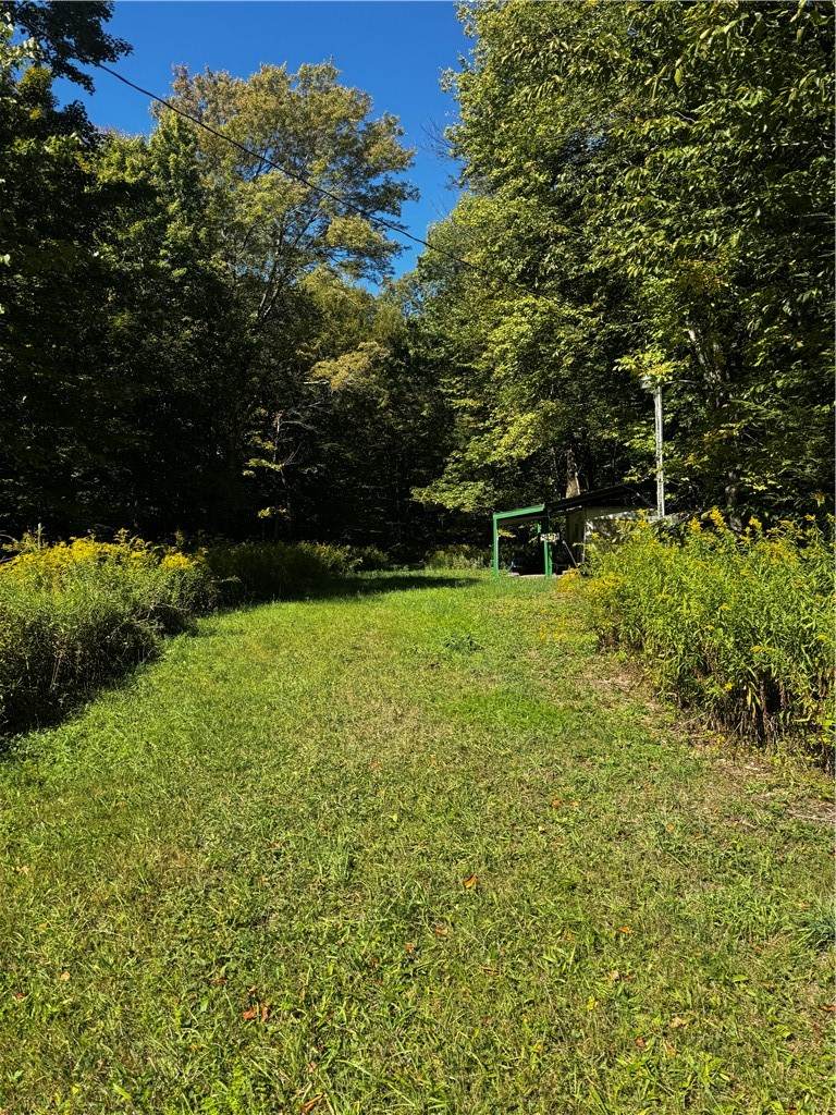 185 Kaine Road - Photo 1