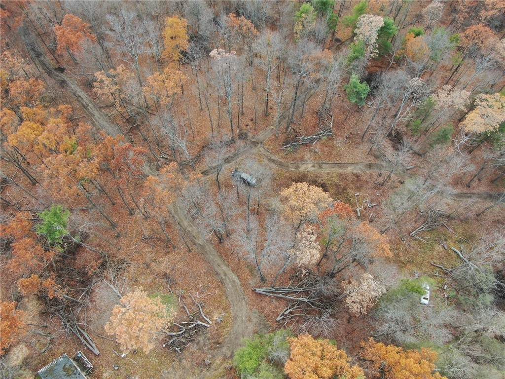 8302 Wesley Road - Photo 1