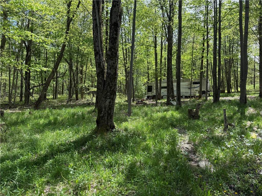 16 Deer Pond - Photo 1
