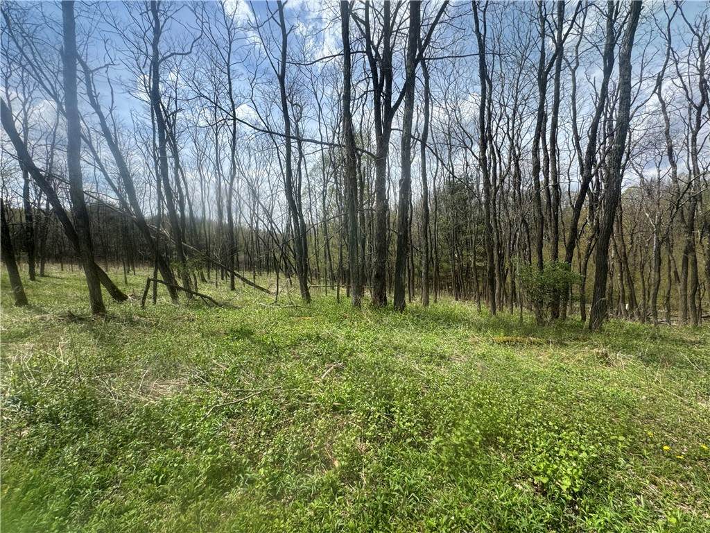100 Balantic Hill Road - Photo 1