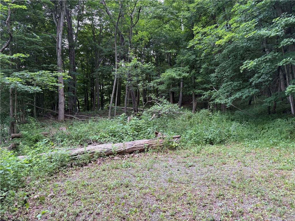 https://bt-photos.global.ssl.fastly.net/rochester/orig_boomver_2_R1666870-2.jpg