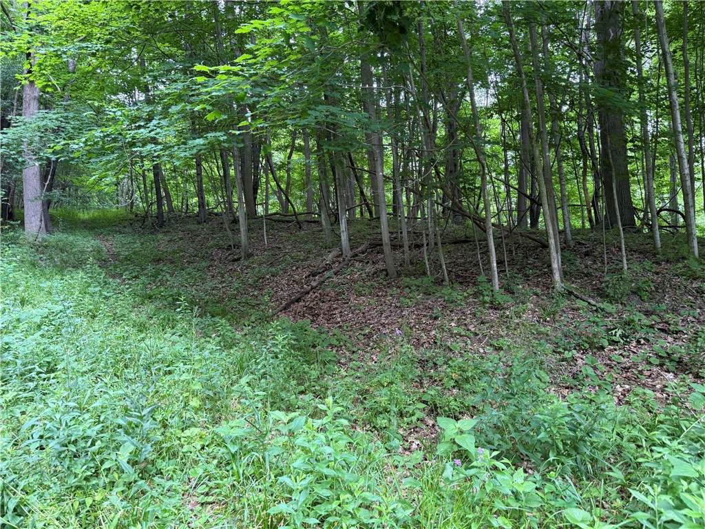 https://bt-photos.global.ssl.fastly.net/rochester/orig_boomver_2_R1666870-2.jpg