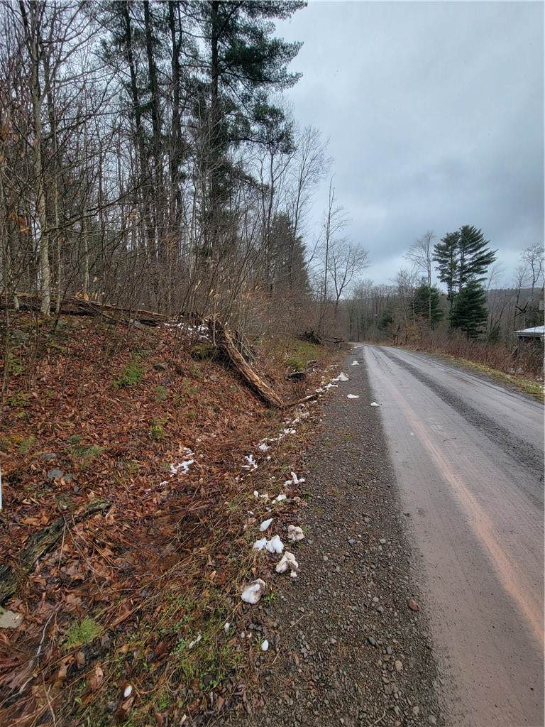 0 Schlafer Road - Photo 1