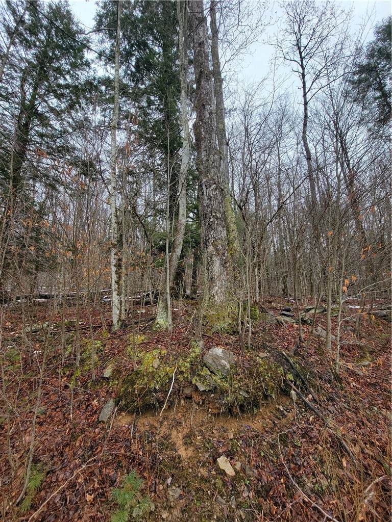 https://bt-photos.global.ssl.fastly.net/rochester/orig_boomver_2_R1669058-2.jpg
