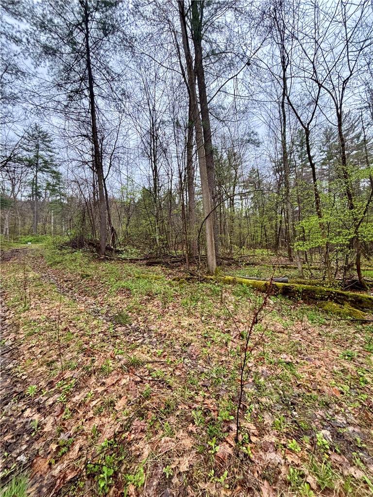 2093 Scott Road - Photo 1