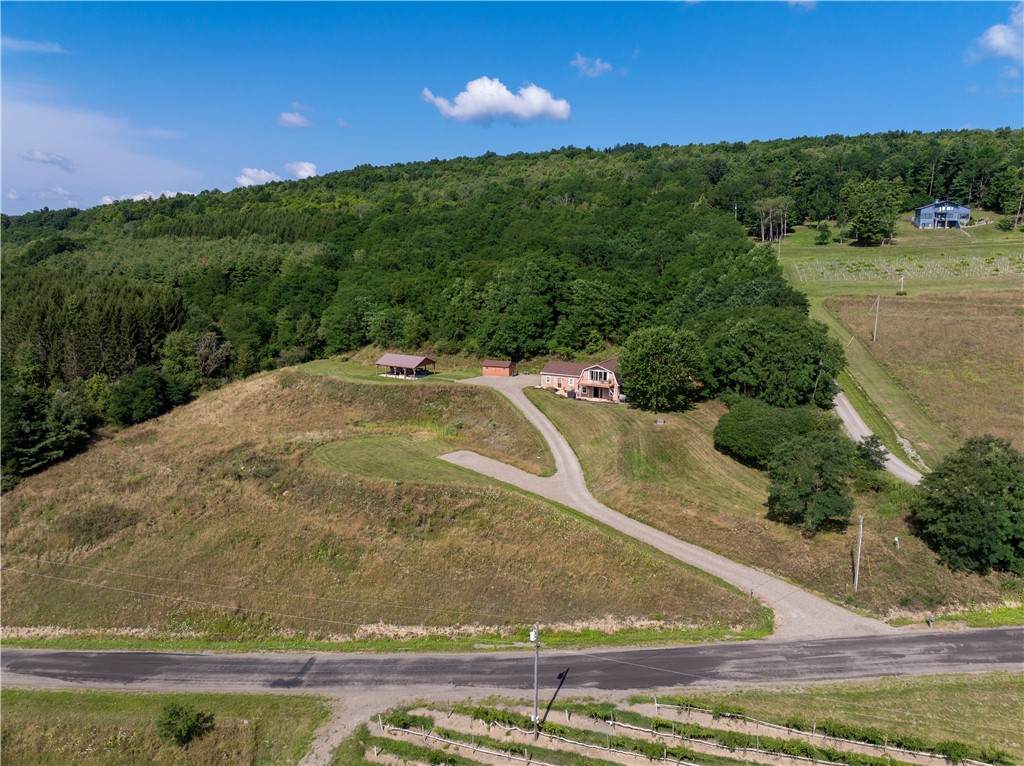 8755 Greyton H Taylor Memorial Drive - Photo 1