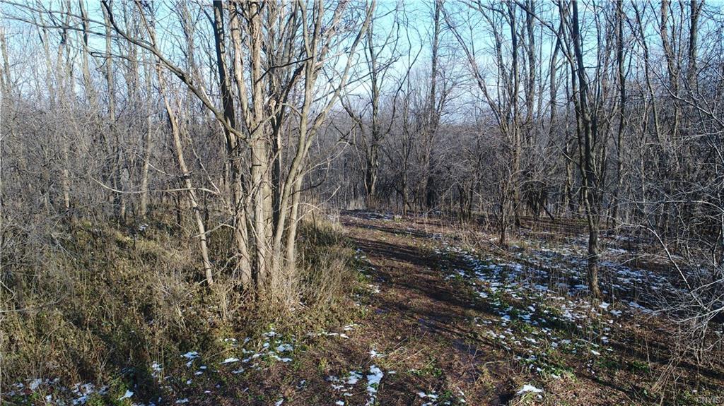 0 Cherry Valley - Photo 1