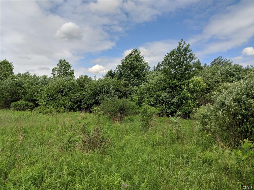 0 Caughdenoy Road - Photo 1