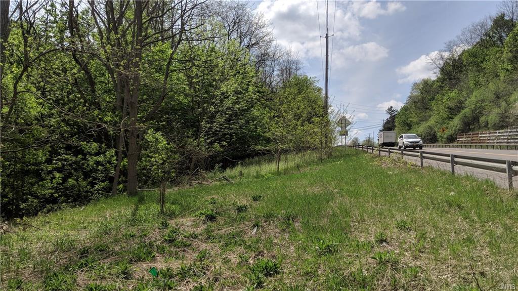 0 Seneca Turnpike - Photo 1