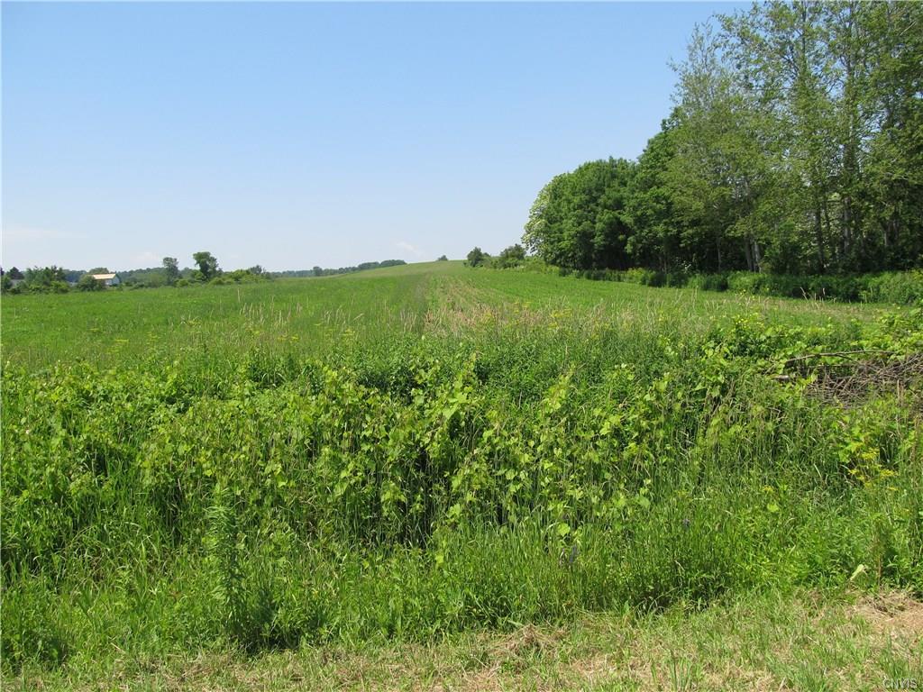 L15 Fords Bush Road - Photo 1