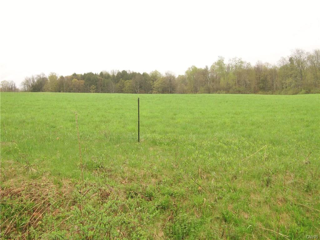 0 State Highway 331 - Photo 1