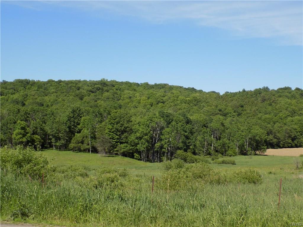 162 Caldwell Hill Road - Photo 1