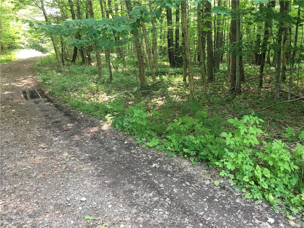 200 Little Beaver Rd Drive - Photo 1