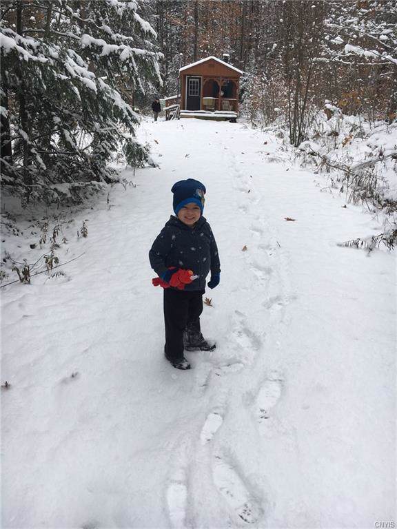 0 Owego Hill Road - Photo 1
