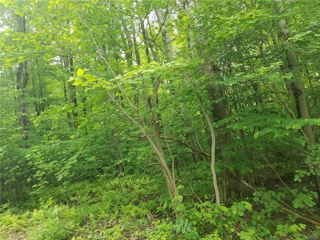 403 Lot 10 Road - Photo 1
