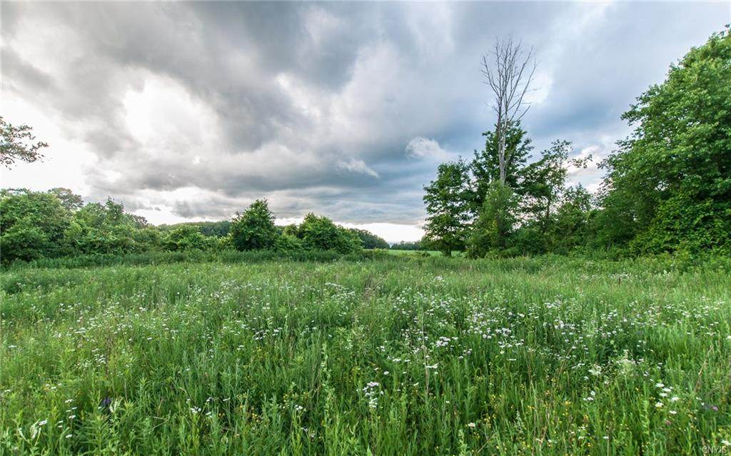 1652 State Route 28 - Photo 1