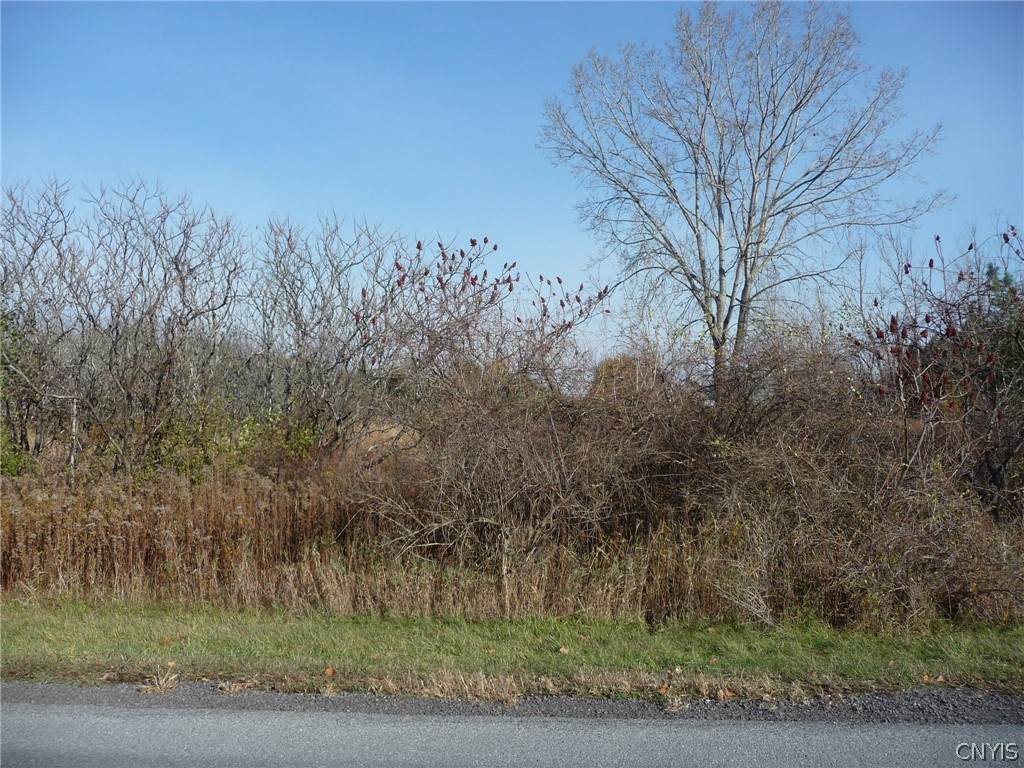 0 Adams - Photo 1