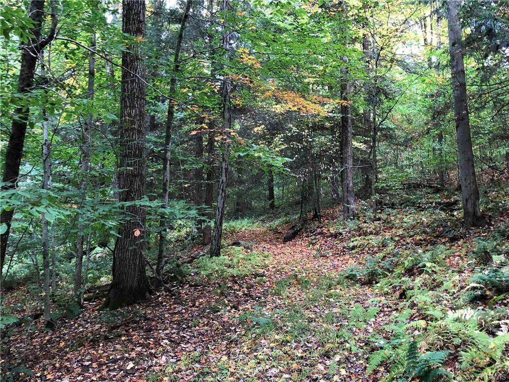224 Bates Road - Photo 1