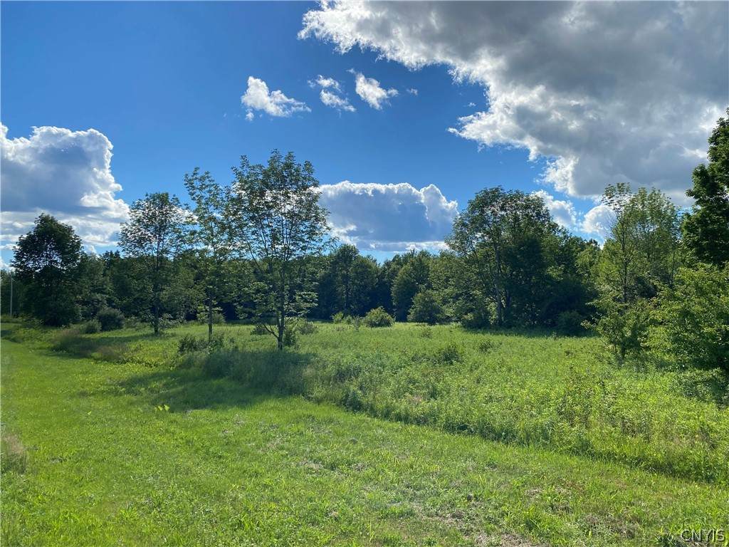 Lot 36 Cogar Drive - Photo 1