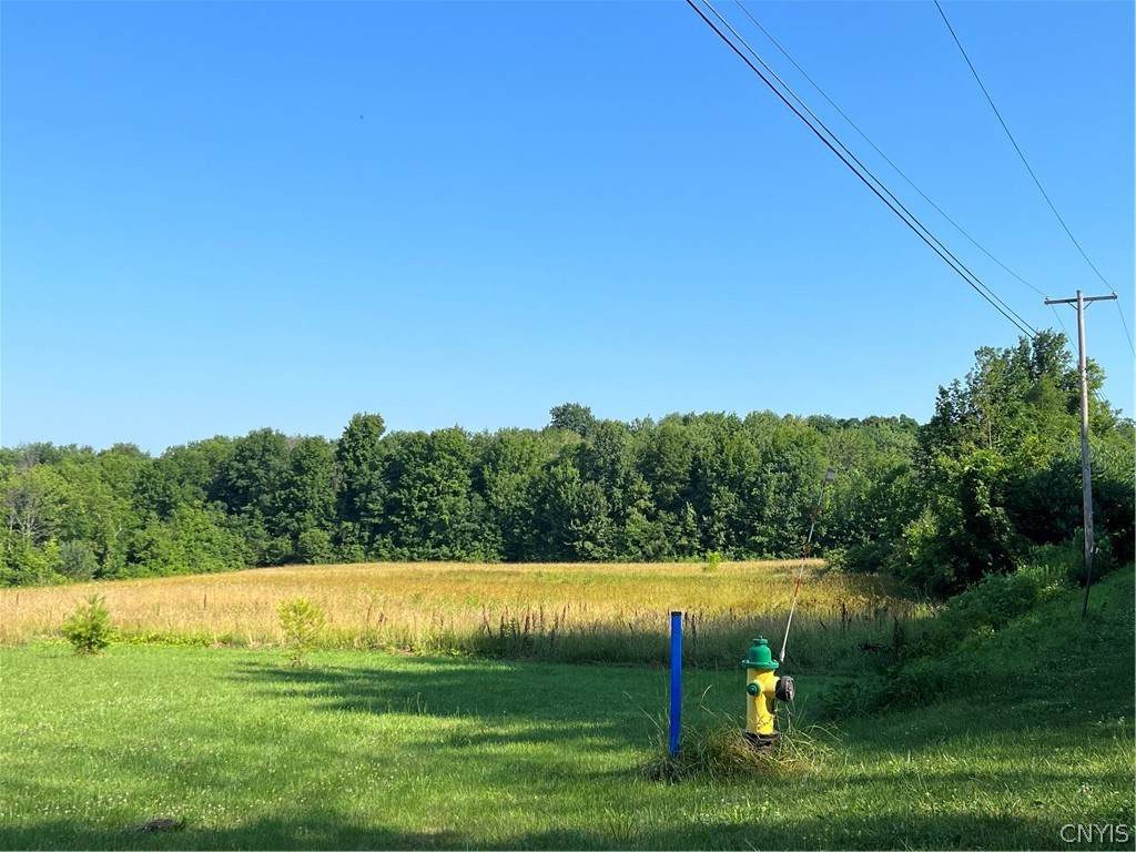 lot 112A County Route 64 - Photo 1