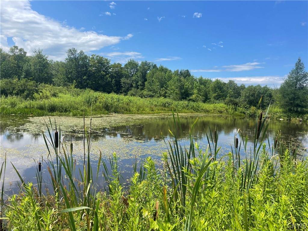 6987 State Highway 29 - Photo 1