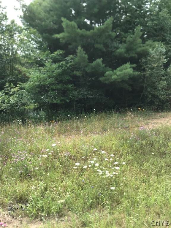 40550 State Route 3 - Photo 1