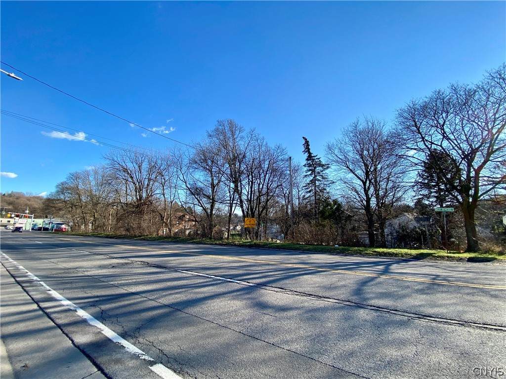 102 Fay Rd. & W. Genesee Street - Photo 1