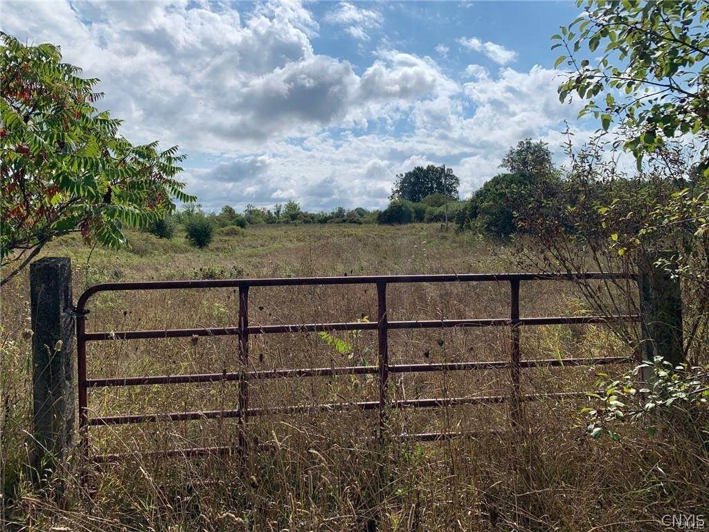 LOT 1 Bailey Settlement Road Road - Photo 1