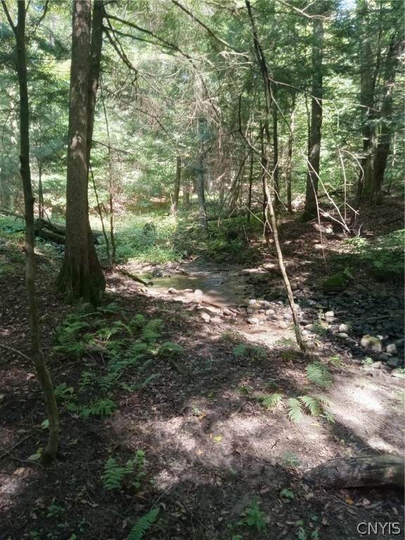 0 Co Rt 22A - Photo 1