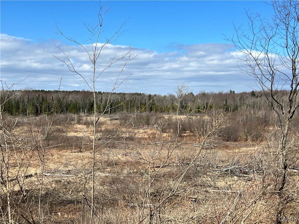 0 County Route 41 - Photo 1