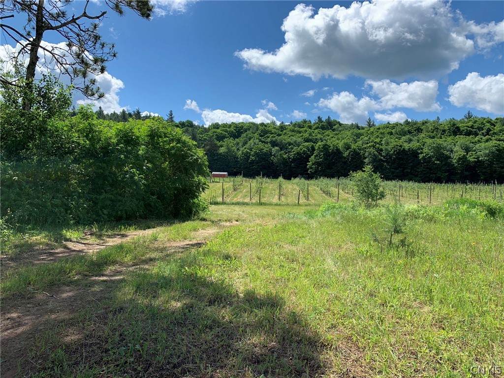 646 State Highway 3 - Photo 1