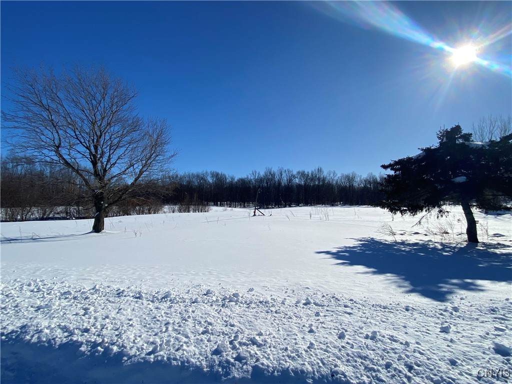 19354 Cady Road - Photo 1