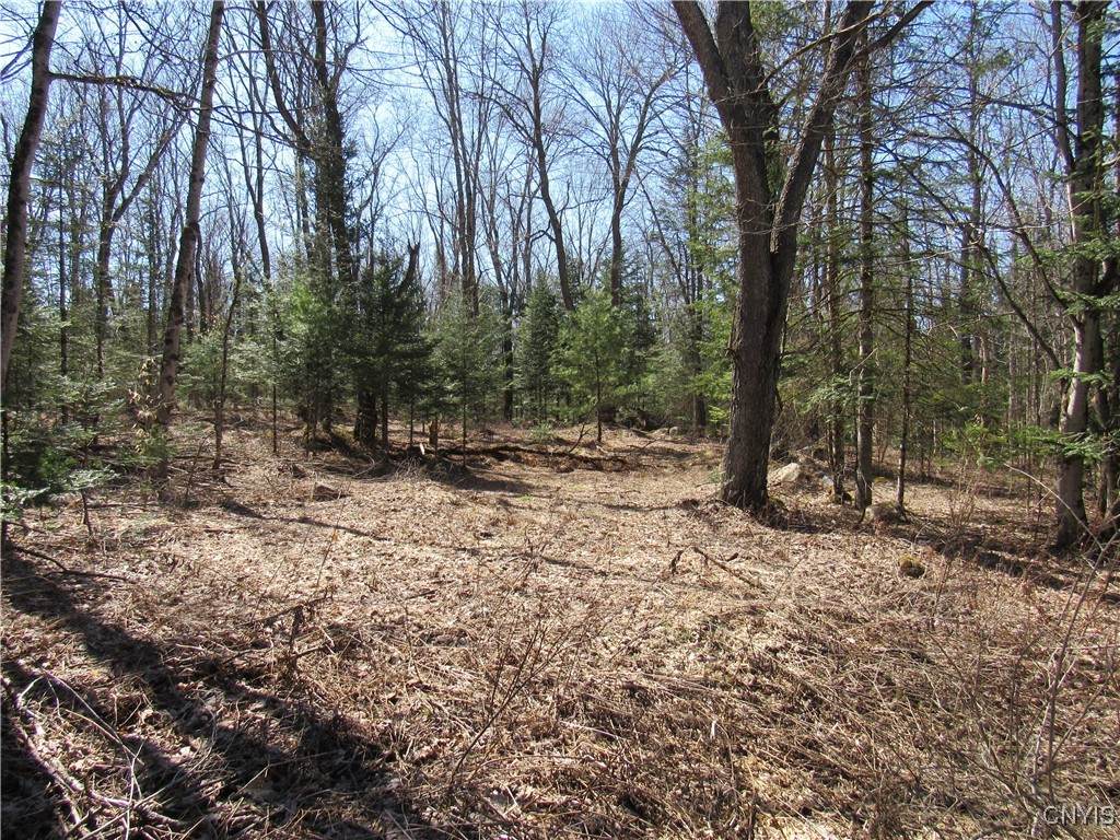 1018 South Road - Photo 1