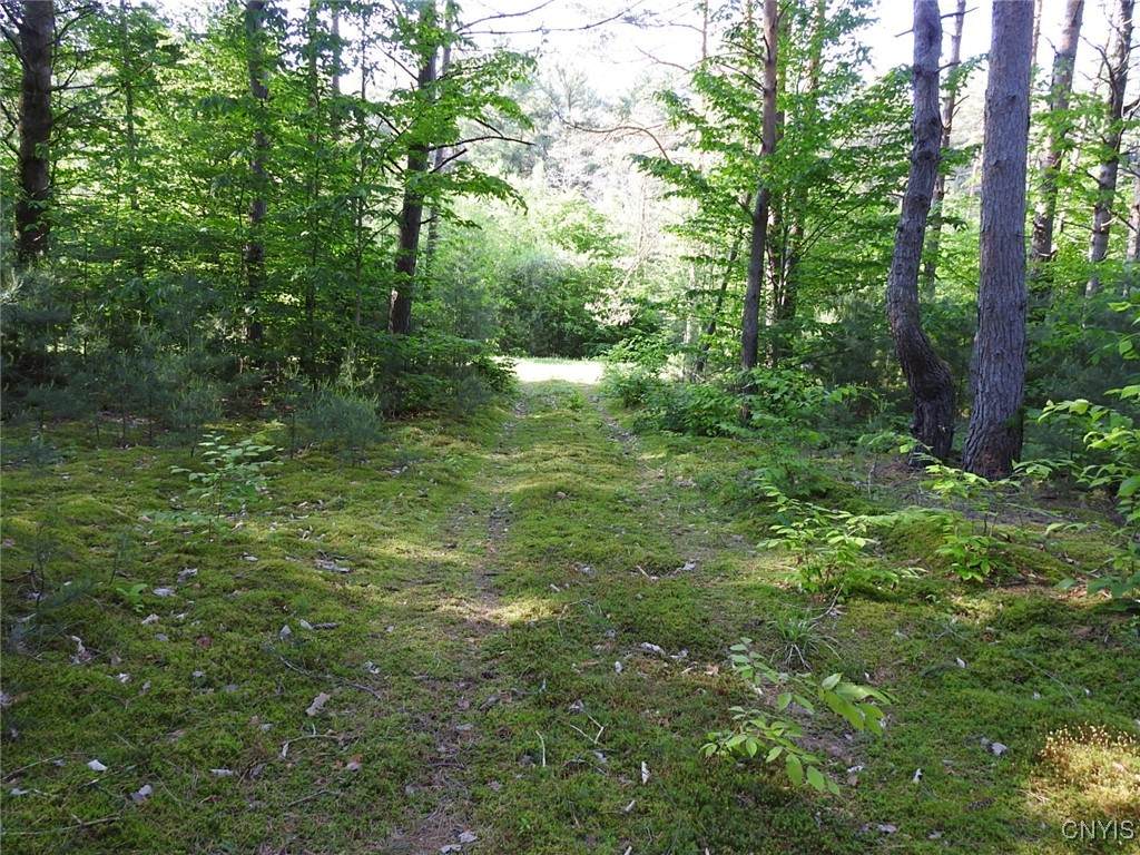 5206 Rugby Road - Photo 1