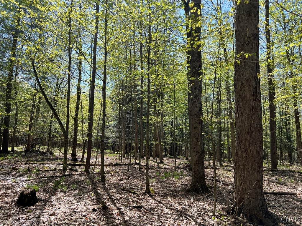 Hemlock Drive - Photo 1