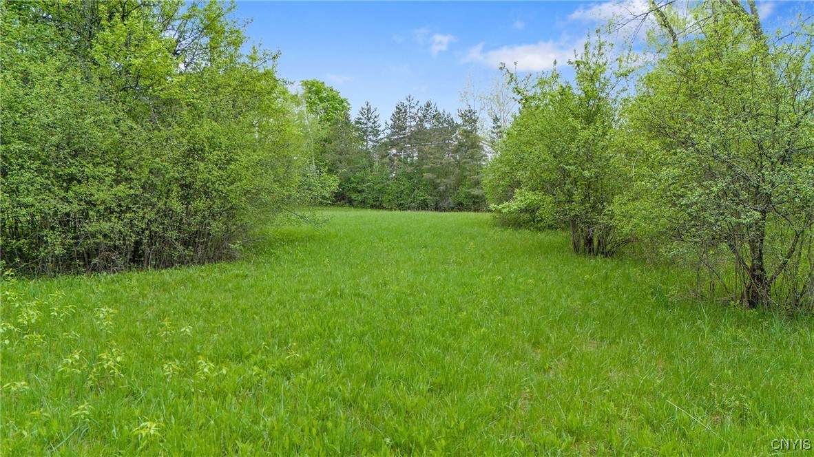 6002 Sewickley Drive - Photo 1
