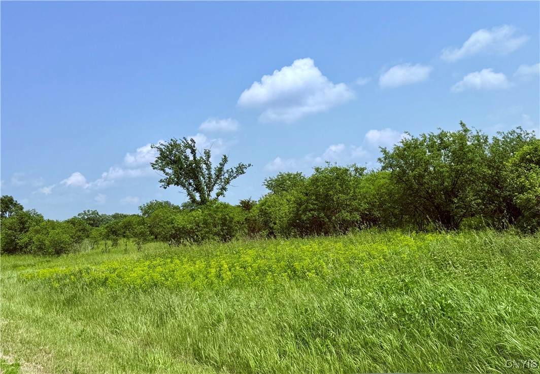 Rt-3 - Photo 1