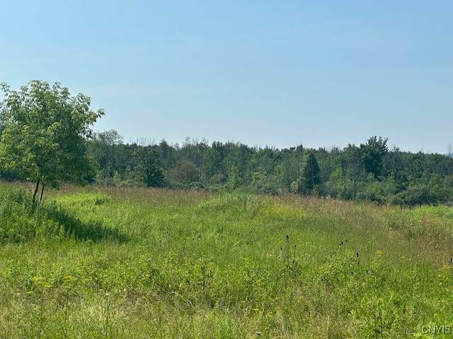Chapman Road - Photo 1