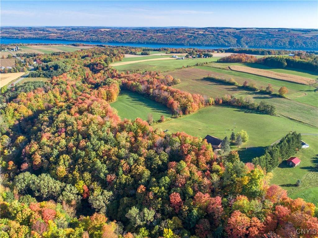 6023 Glen Haven Road - Photo 1