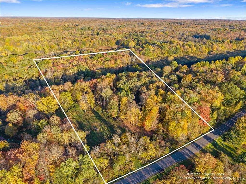 252 Paddy Lake Road - Photo 1