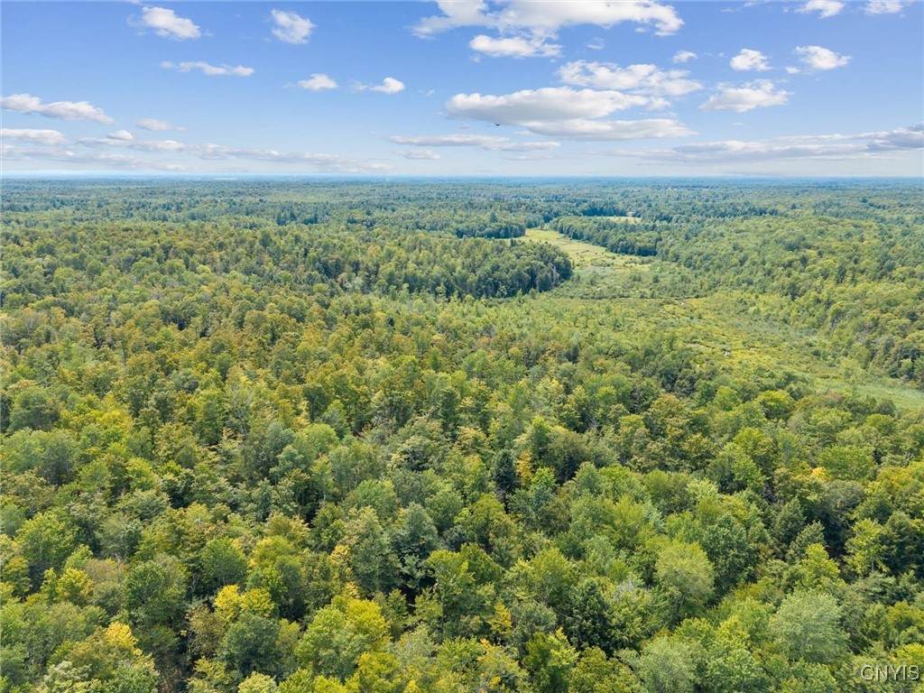 LAND County Rt 11 - Photo 1