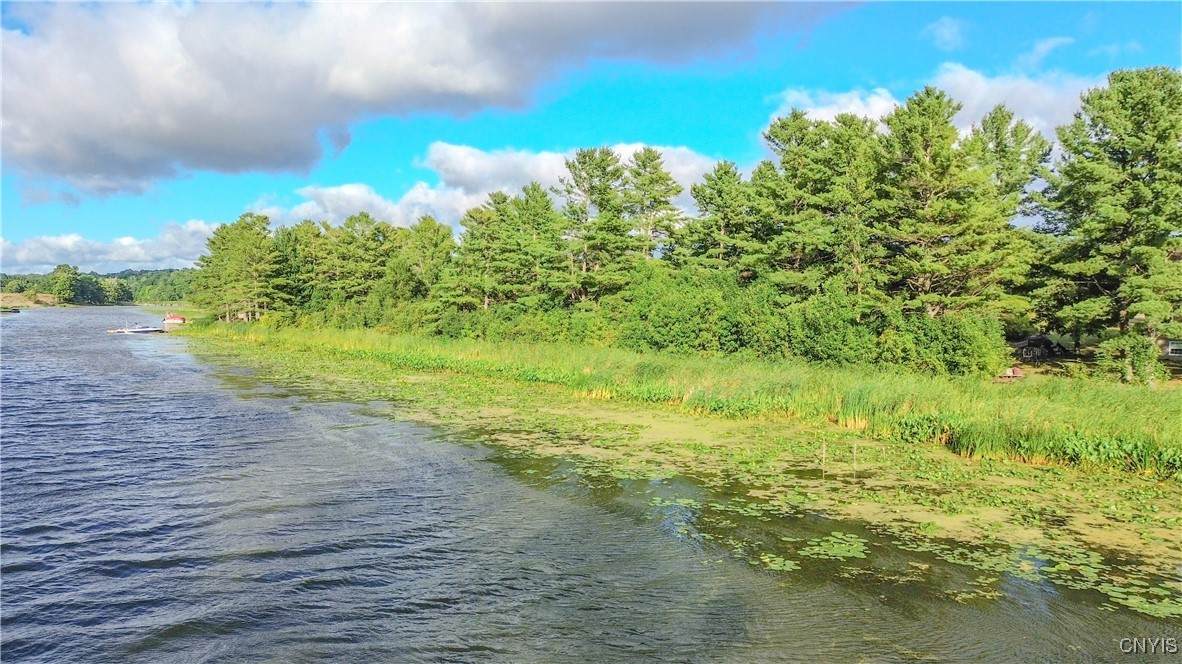  Beaver Meadow - Photo 1