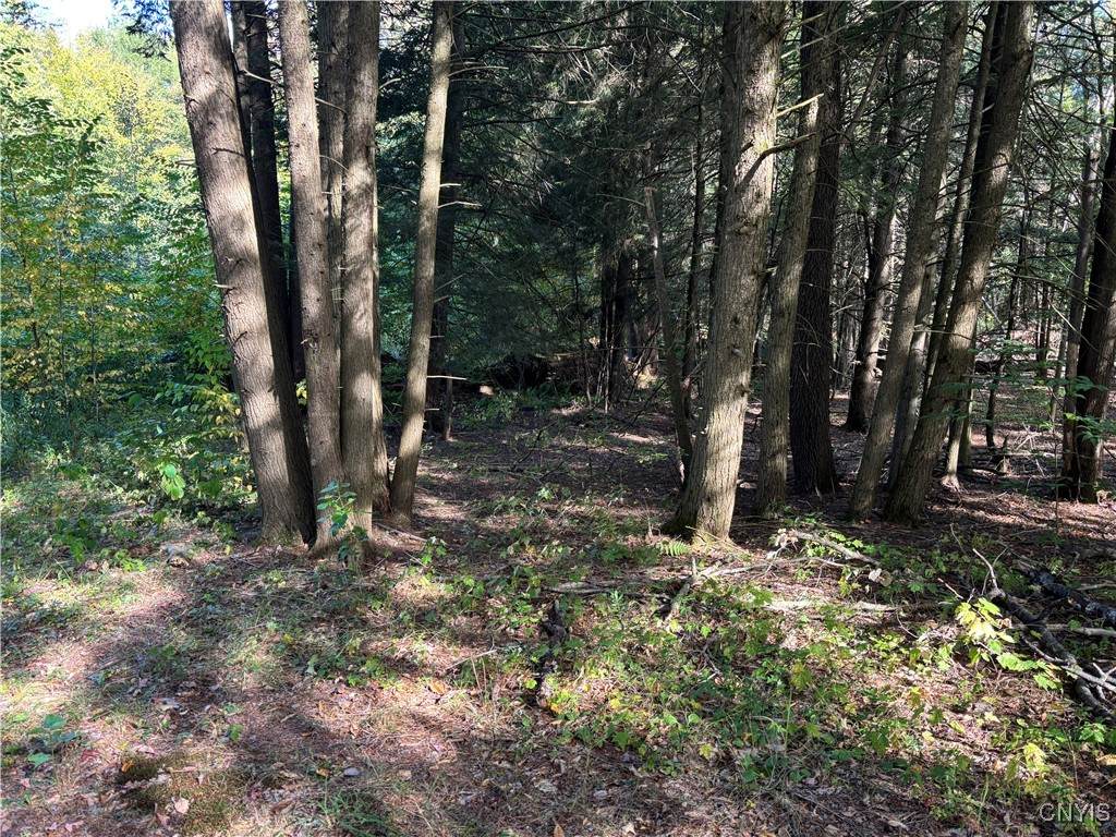  7639 Oakville Terrace - Photo 1