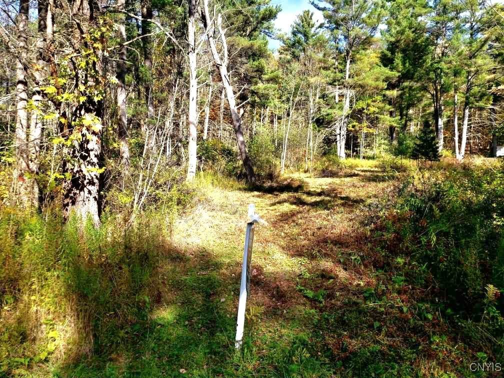 0 Midline Road - Photo 1