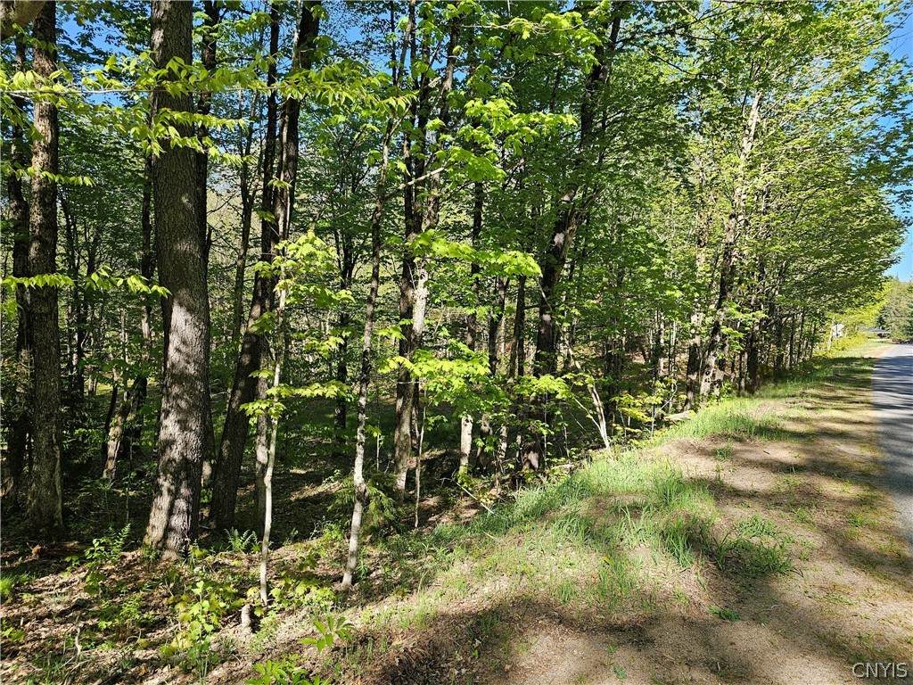  Long Pond Road - Photo 1