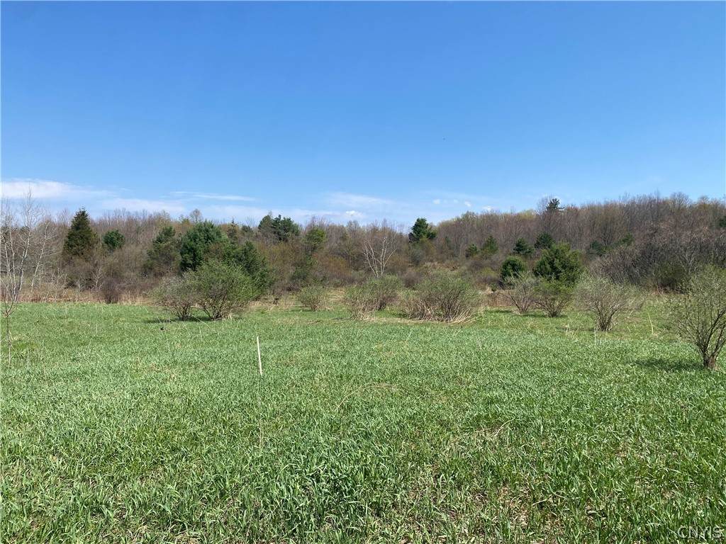  County Route 4 - Photo 1