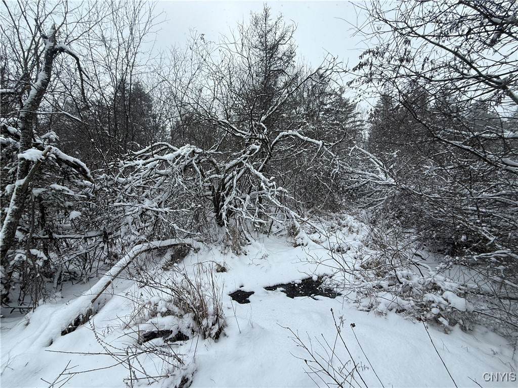  Eddy Road - Photo 1