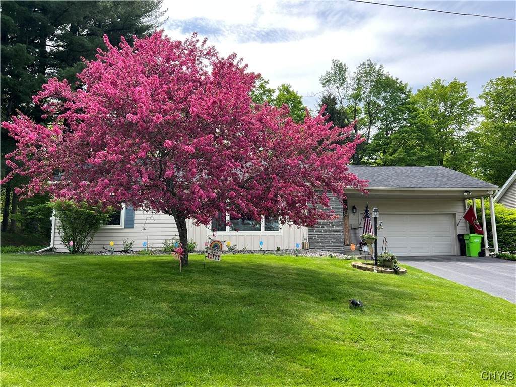 12 Forest Road - Photo 1