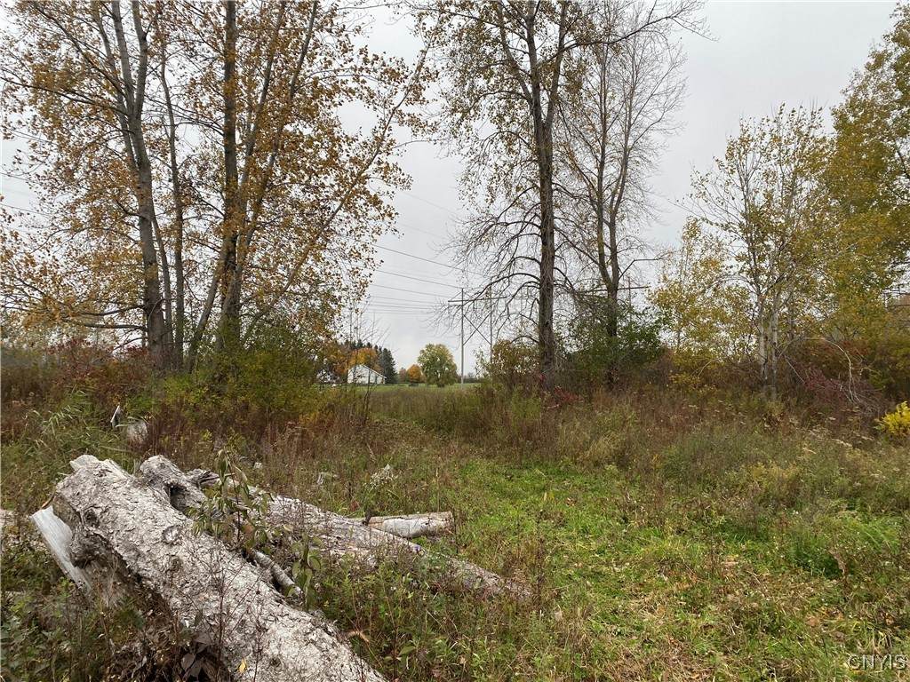 0 Caughdenoy Road - Photo 1